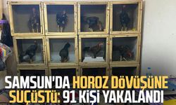 Samsun'da horoz dövüşüne suçüstü: 91 kişi yakalandı