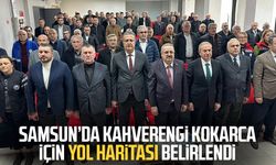 Samsun’da kahverengi kokarca için yol haritası belirlendi