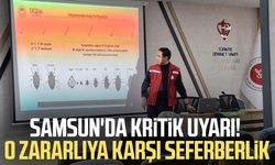 Samsun'da kritik uyarı! O zararlıya karşı seferberlik