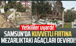 Samsun'da kuvvetli fırtına mezarlıktaki ağaçları devirdi!