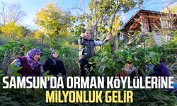 Samsun’da orman köylülerine milyonluk gelir