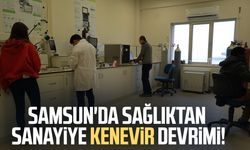 Samsun'da sağlıktan sanayiye kenevir devrimi!