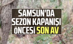 Samsun'da sezon kapanışı öncesi son av