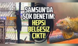 Samsun'da şok denetim: Hepsi belgesiz çıktı!