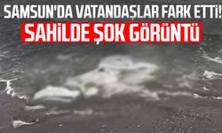 Samsun'da vatandaşlar kaydetti: Çuvallarla denize atmışlar