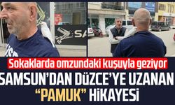 Samsun’dan Düzce’ye uzanan “Pamuk” hikayesi