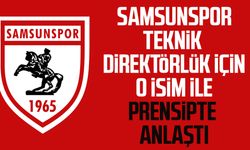 Samsunspor'da Teknik Direktör Thorsten Fink ile prensipte anlaşıldı