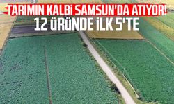 Tarımın kalbi Samsun'da atıyor! 12 üründe ilk 5'te