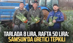 Tarlada 8 lira, rafta 50 lira: Samsun'da üretici tepkili
