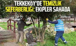 Tekkeköy'de temizlik seferberliği: Ekipler sahada