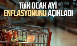 TÜİK ocak ayı enflasyonunu açıkladı