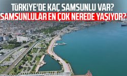 Türkiye'de kaç Samsunlu var? Samsunlular en çok nerede yaşıyor?
