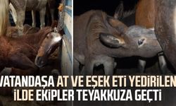 Vatandaşa at ve eşek eti yedirilen ilde ekipler teyakkuza geçti
