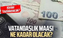 Vatandaşlık maaşı ne kadar olacak?