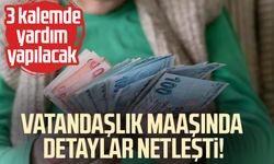 Vatandaşlık maaşında detaylar netleşti! 3 kalemde yardım yapılacak