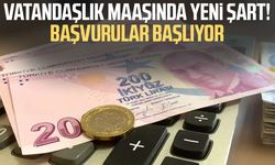 Geliri bu rakamın üstünde olanlar vatandaşlık maaşı alamayacak!