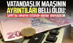 Vatandaşlık maaşının ayrıntıları belli oldu