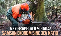 Vezirköprü ilk sırada! Samsun ekonomisine dev katkı