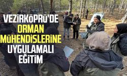 Vezirköprü’de orman mühendislerine uygulamalı eğitim
