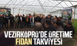 Vezirköprü’de üretime fidan takviyesi