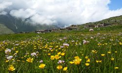Asarcık Yaylalarında Mevsimlik Göç Kültürü