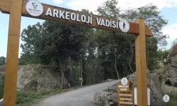 Tekkeköy’de Arkeolojik Alanlar ve Tarih Keşfi