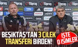 Beşiktaş'tan 3 çilek transferi birden! İşte o isimler