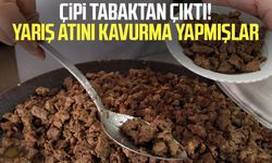 Çipi tabaktan çıktı! Yarış atını kavurma yapmışlar
