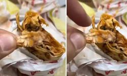 Bu artık başka seviye! Dürümün içinden çıkan şey inanılmaz