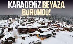 Giresun’da kar manzarası büyüledi! Yayla beyaza büründü