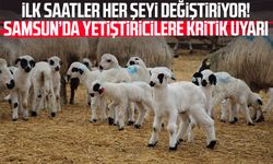 İlk saatler her şeyi değiştiriyor! Samsun’da yetiştiricilere kritik uyarı