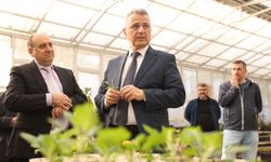 İlkadım’da ata tohumu seferberliği! Öğrenciler üretime katıldı