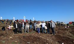 Samsun'da İyilik Kulübü, Yeşil Vatan için sahada