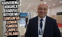 Kahverengi kokarca kabusu bitiyor mu? Samsun'da uzman isimden çarpıcı açıklama