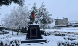 Kavak’ta Mevsimlerin İlçe Ritmine Etkisi