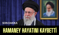 Hamaney hayatını kaybetti!