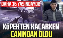 Daha 16 yaşındaydı! Köpekten kaçarken canından oldu