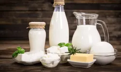 Terme’de Manda Sütünden Yapılan Ürünler