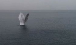 MSB duyurdu: Karadeniz'de 275 şüpheli cisim tespit edildi