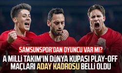 A Milli Takım'ın Dünya Kupası play-off maçları aday kadrosu belli oldu