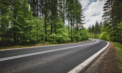 Orman yolu sanat yapısı yaptırılacak