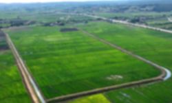 Samsun’da 16 bin m² alan yok oldu