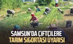 Samsun’da çiftçilere tarım sigortası uyarısı