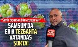 Samsun’da erik tezgahta, vatandaş şokta! Tanesi dudak uçuklattı