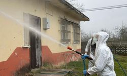 Samsun'da havalar ısındı, tehlike arttı! Kritik dönem başladı