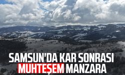 Samsun'da kar sonrası muhteşem manzara: Kızlan Yaylası