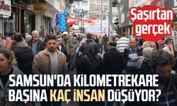 Samsun'da kilometrekare başına kaç insan düşüyor? Şaşırtan gerçek