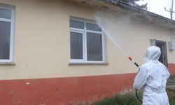 Samsun’da tarımı tehdit eden kabus için ilaçlama başladı