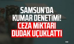 Samsun’da kumar denetimi! Ceza miktarı dudak uçuklattı