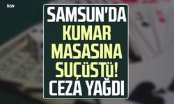 Samsun'da kumar masasına suçüstü! Ceza yağdı
